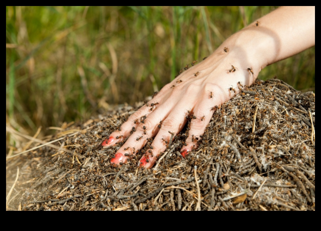 Garden Warriors: Tactics for a Pest-free Sanctuary