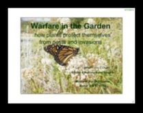 Garden Warriors Πώς να υπερασπιστείτε το καταφύγιό σας από τα παράσιτα