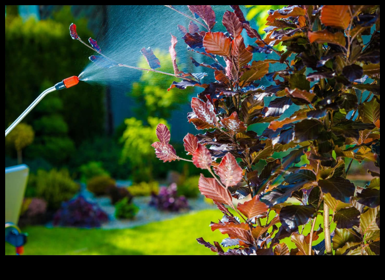 Ουτοπία χωρίς παράσιτα: Φρουρώντας την Πράσινη Όαση σας