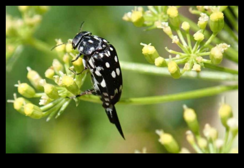 Ουτοπία χωρίς παράσιτα: Φρουρώντας την Πράσινη Όαση σας