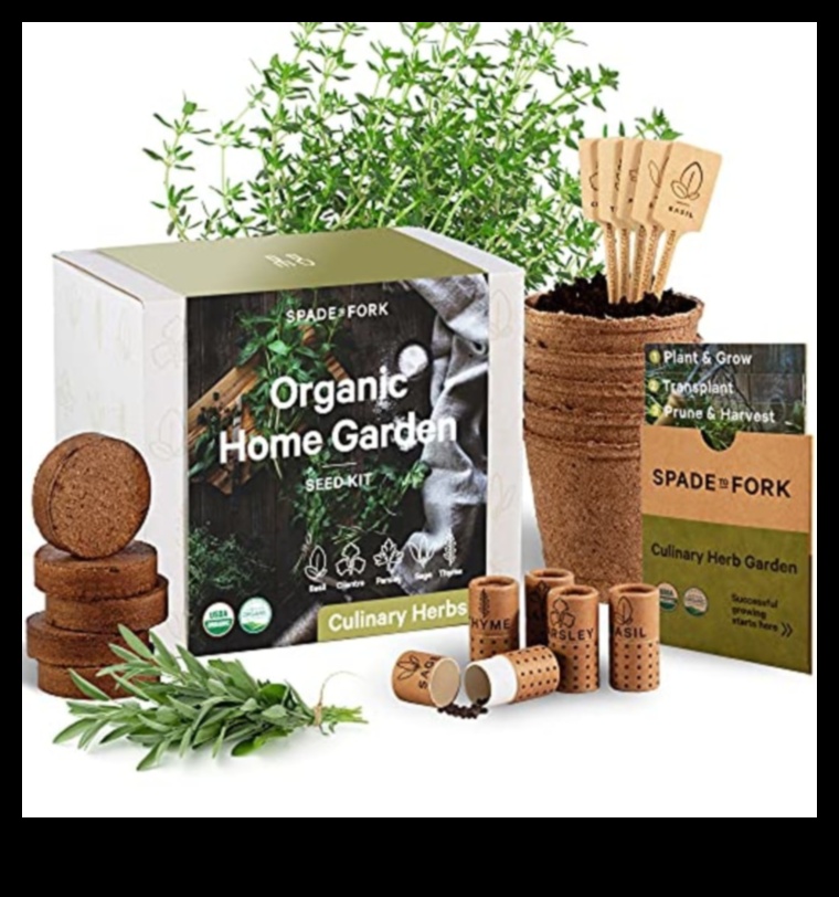 Sustainably Yours: Gifts That Hope-Friendly Lifeing