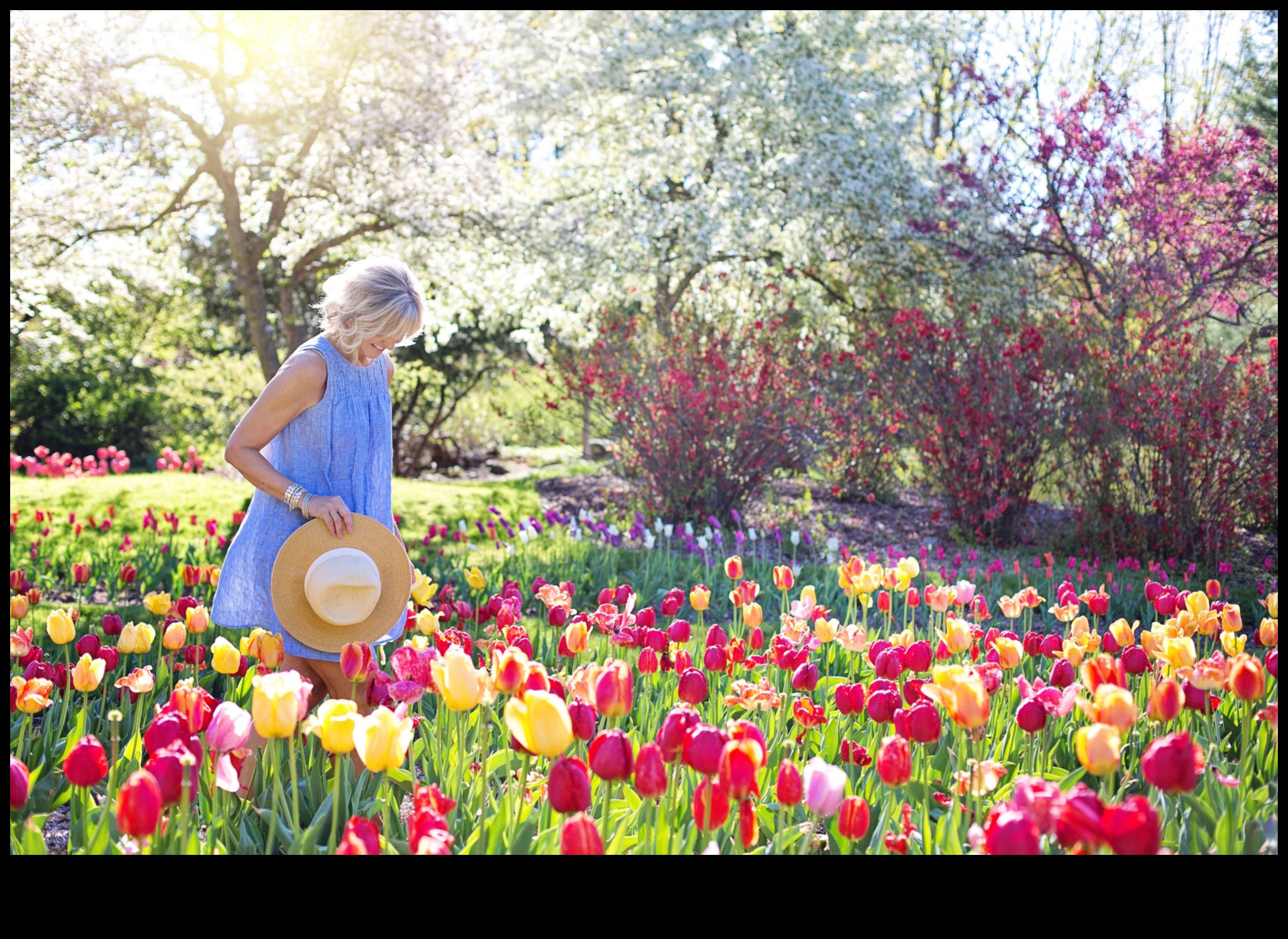 Τα μυστικά της φύσης αποκαλύφθηκαν: Συμβουλές για έναν ανθισμένο κήπο