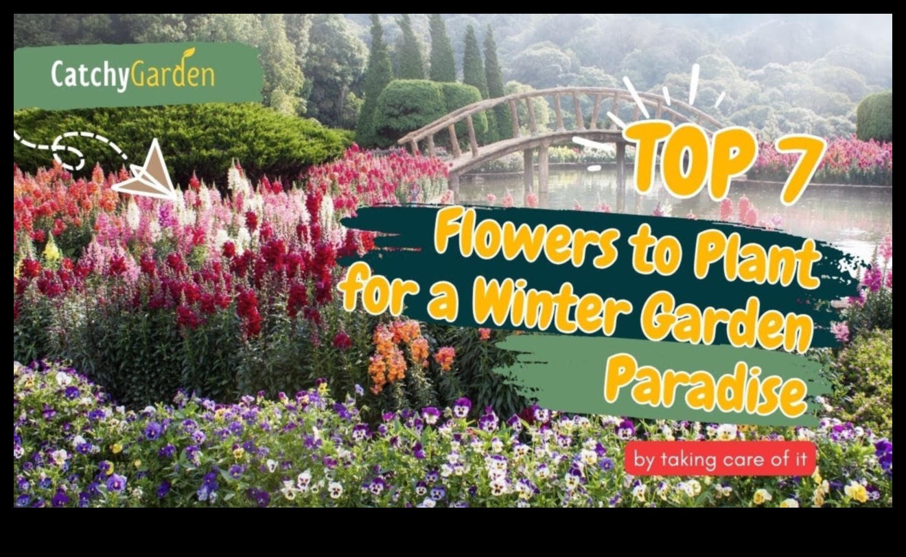 Τα μυστικά της φύσης αποκαλύφθηκαν: Συμβουλές για έναν ανθισμένο κήπο