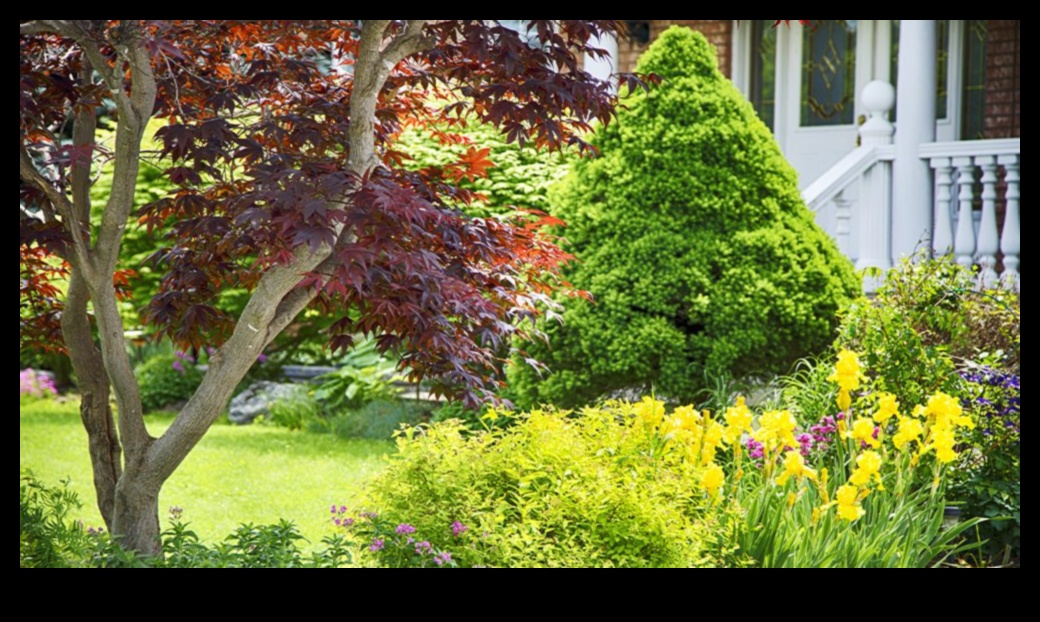 Nature's Nook: Ιδέες δώρων κηπουρικής για τον μπαμπά με πράσινο αντίχειρα