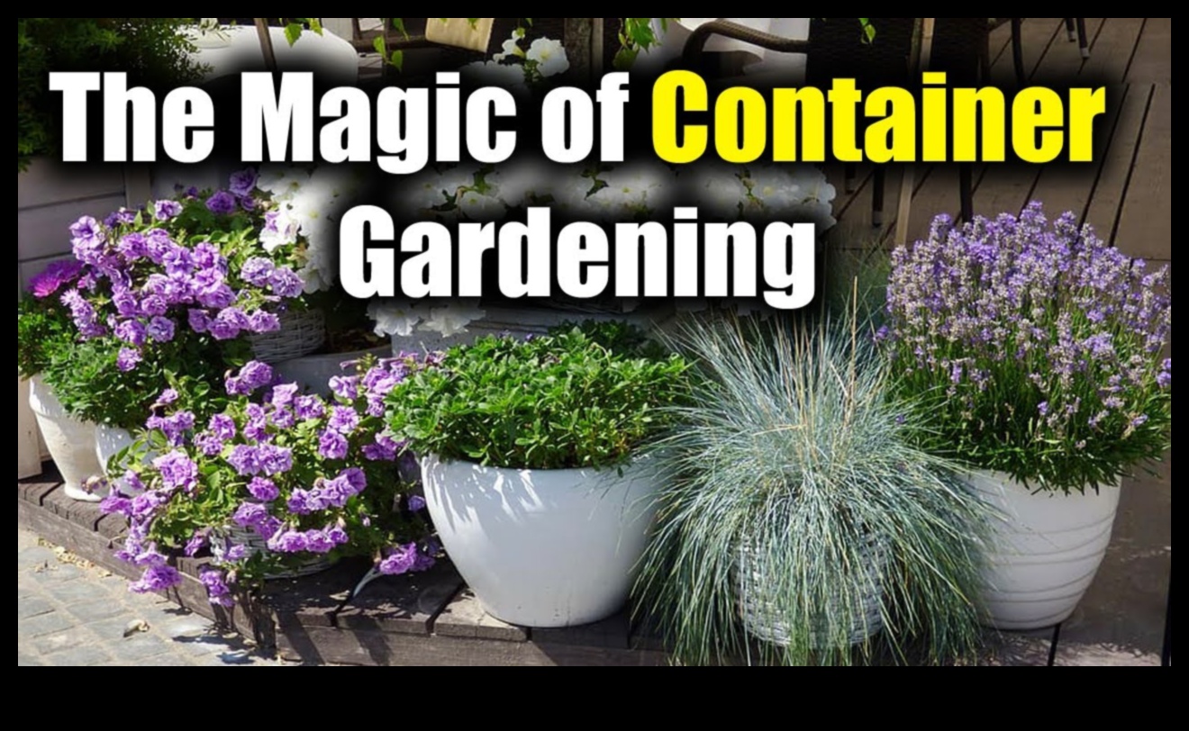 Garden Magic: Unlocking the Secrets of Container Greenery