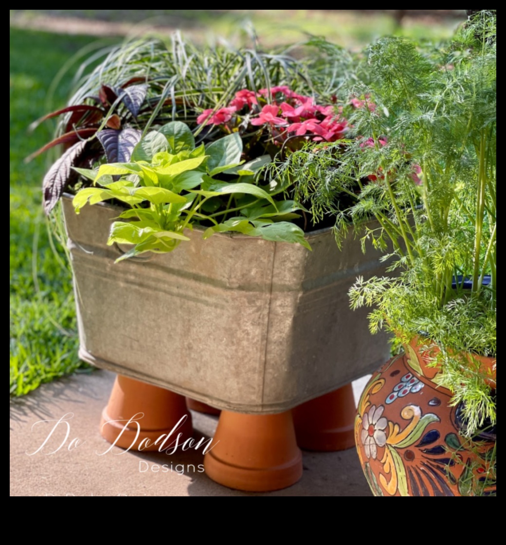 Garden Magic: Unlocking the Secrets of Container Greenery