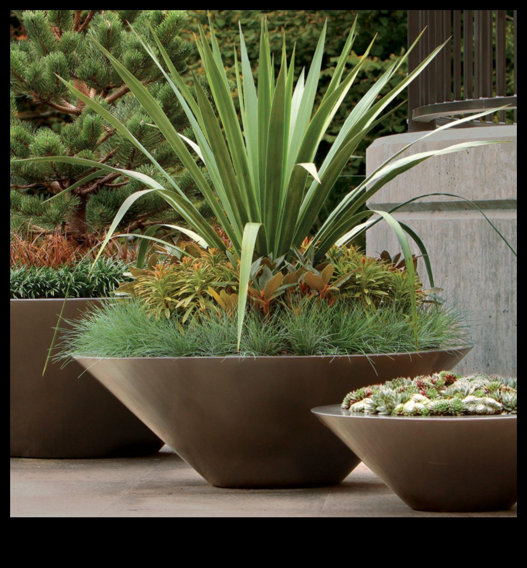 Garden Magic: Unlocking the Secrets of Container Greenery