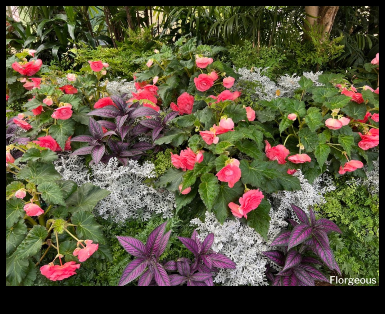 Blossoming Companions: Ανυψώστε την ομορφιά με το Companion Planting