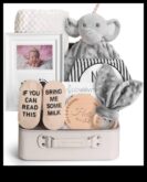 Cuddly Companions Σκεπτικά δώρα μωρών για κάθε ηλικία