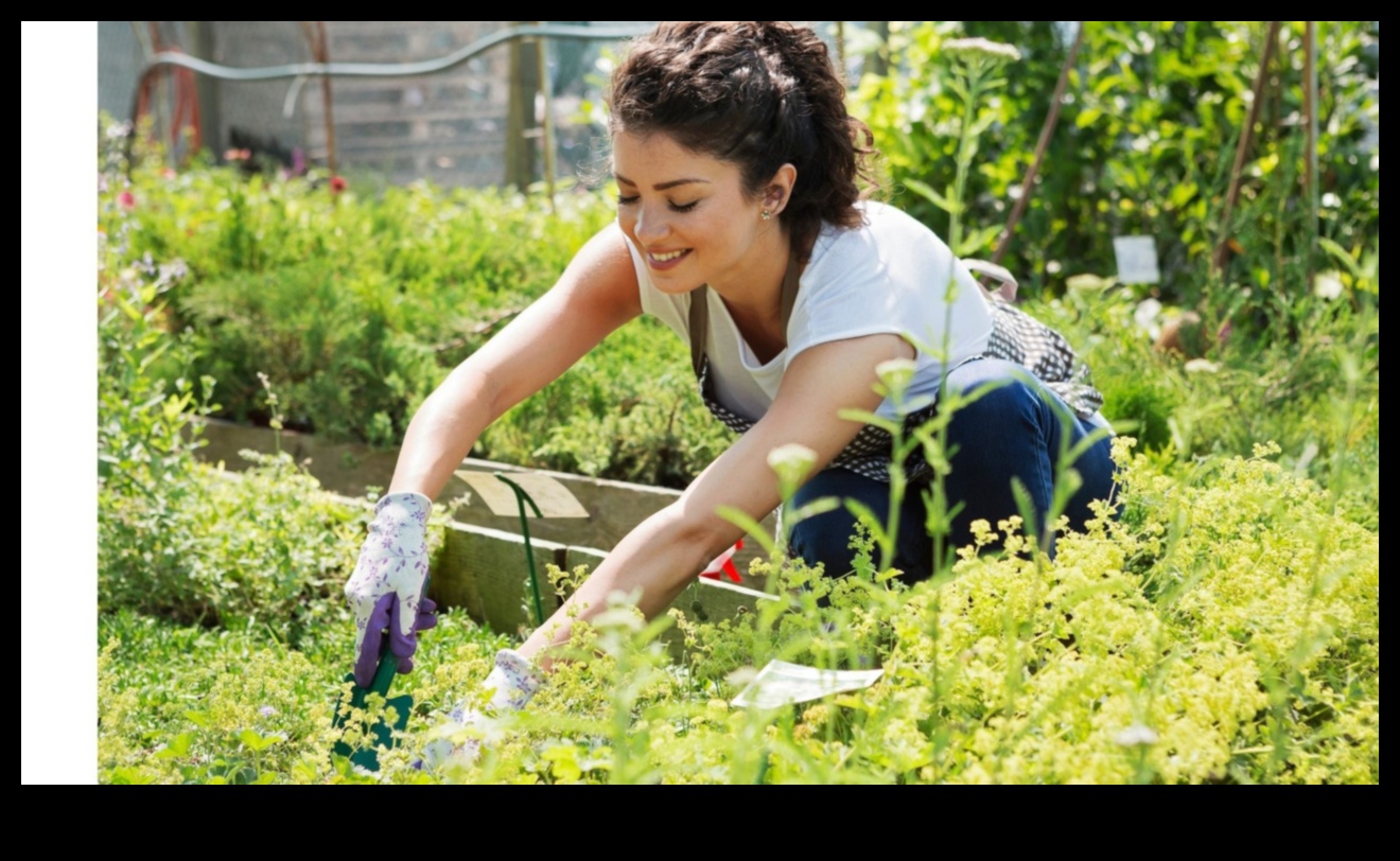 Rooted Intelligence: Thriving with Garden Education