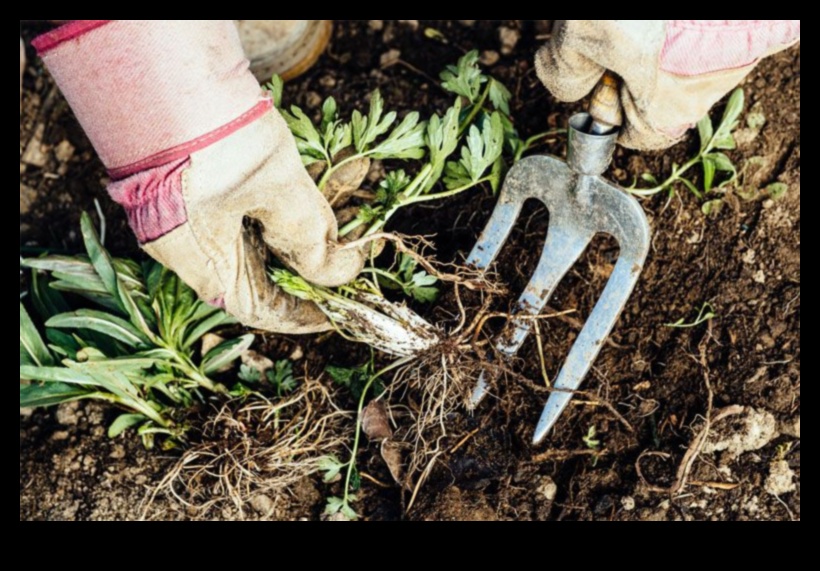 Rooted Intelligence: Thriving with Garden Education