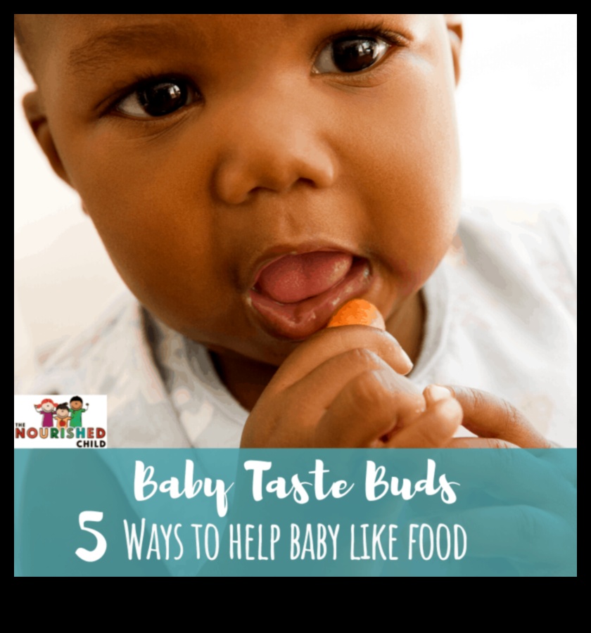 Happy Munching: Nurturing the Baby's Palate with Wholesome Love