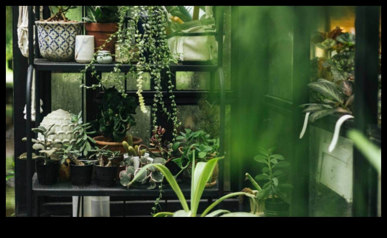 Πράσινο σε μέγεθος τσέπης: Ανακαλύπτοντας τη χαρά των εσωτερικών κήπων