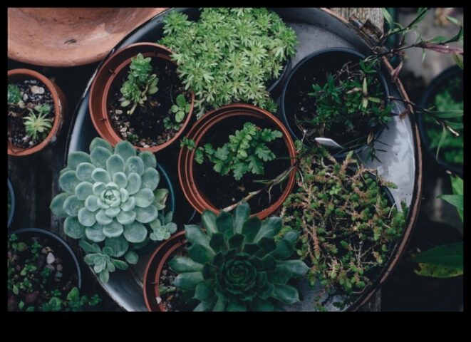 The Joy of Indoor Gardens Πώς να φέρετε τσέπες πρασίνου στο σπίτι σας