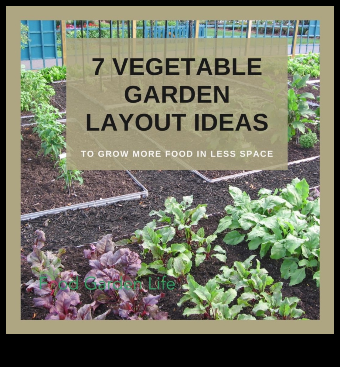 Garden Heights: Vertical Gardening Secrets Exposed