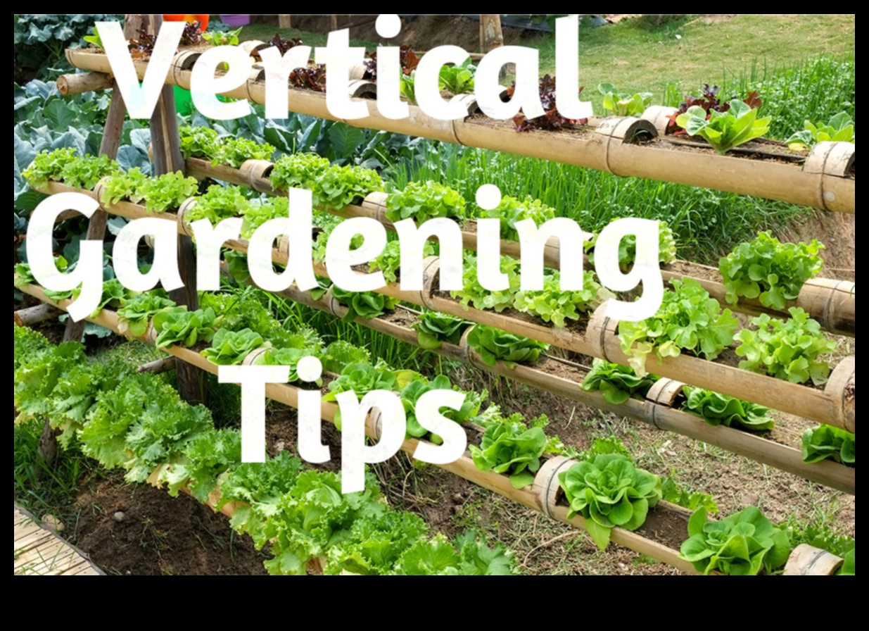 Garden Heights: Vertical Gardening Secrets Exposed