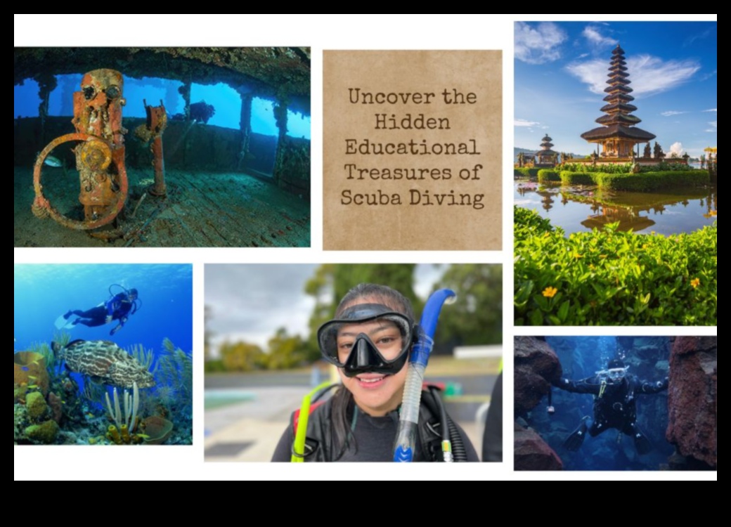 Learning Lagoon: Εκπαιδευτικά παιχνίδια για την ανάπτυξη δεξιοτήτων