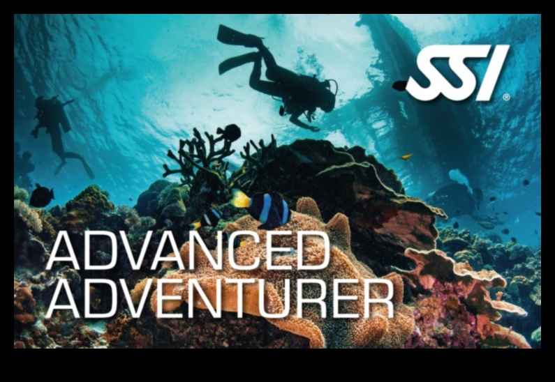 Learning Lagoon: Εκπαιδευτικά παιχνίδια για την ανάπτυξη δεξιοτήτων