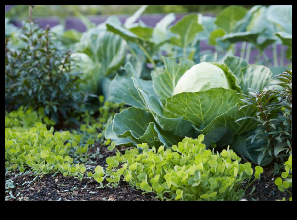 Foliage Friends: Elevating Beauty with Companion Planting