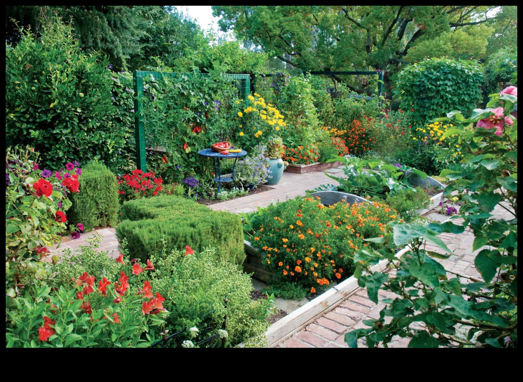 Foliage Friends: Elevating Beauty with Companion Planting