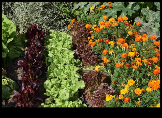 Το Foliage Friends αναβαθμίζει την ομορφιά του κήπου σας με το Companion Planting