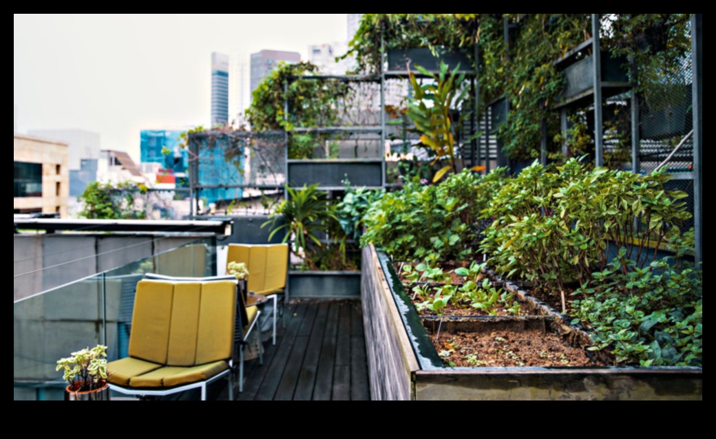 Concrete Greens: Urban Gardening Magic Unveiled