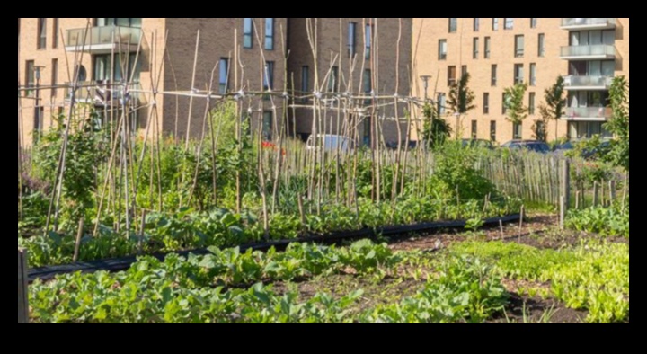 Concrete Greens: Urban Gardening Magic Unveiled