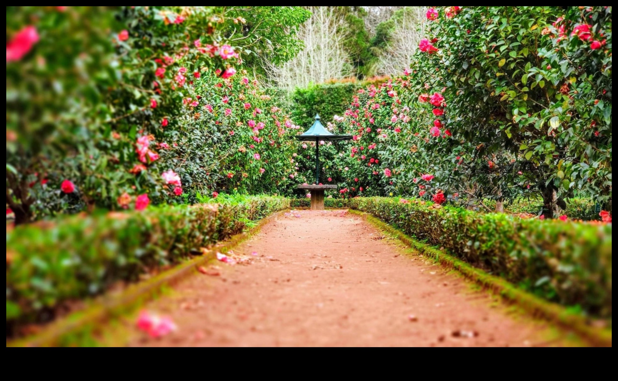 Artful Escapes: Crafting Serenity με Outdoor Garden Accents