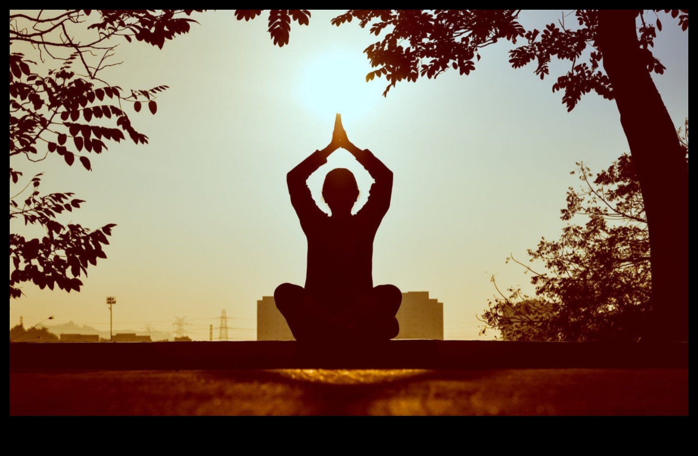 Revitalize and Thrive: The Physical Magic of Daily Meditation