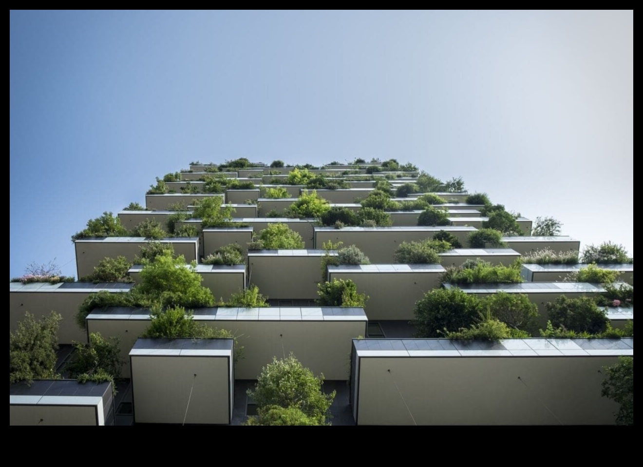 Concrete Greens: Urban Gardening Magic Unveiled