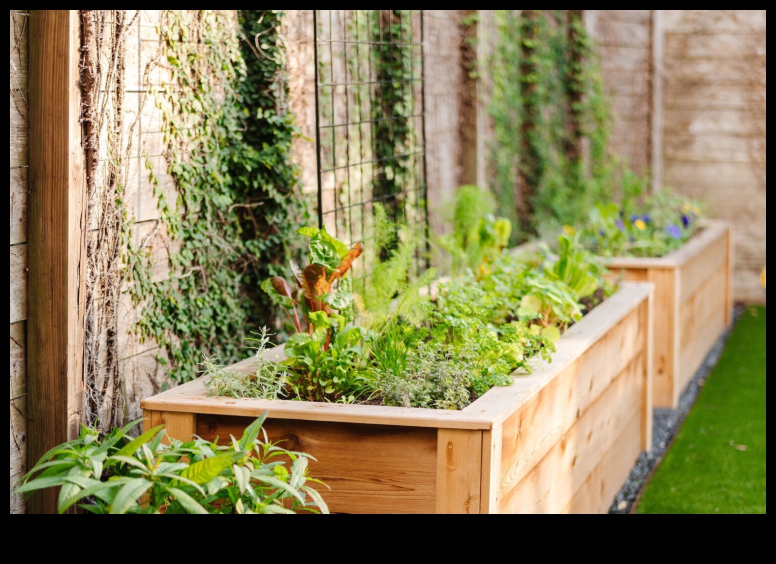 Garden Heights: Vertical Gardening Secrets Exposed