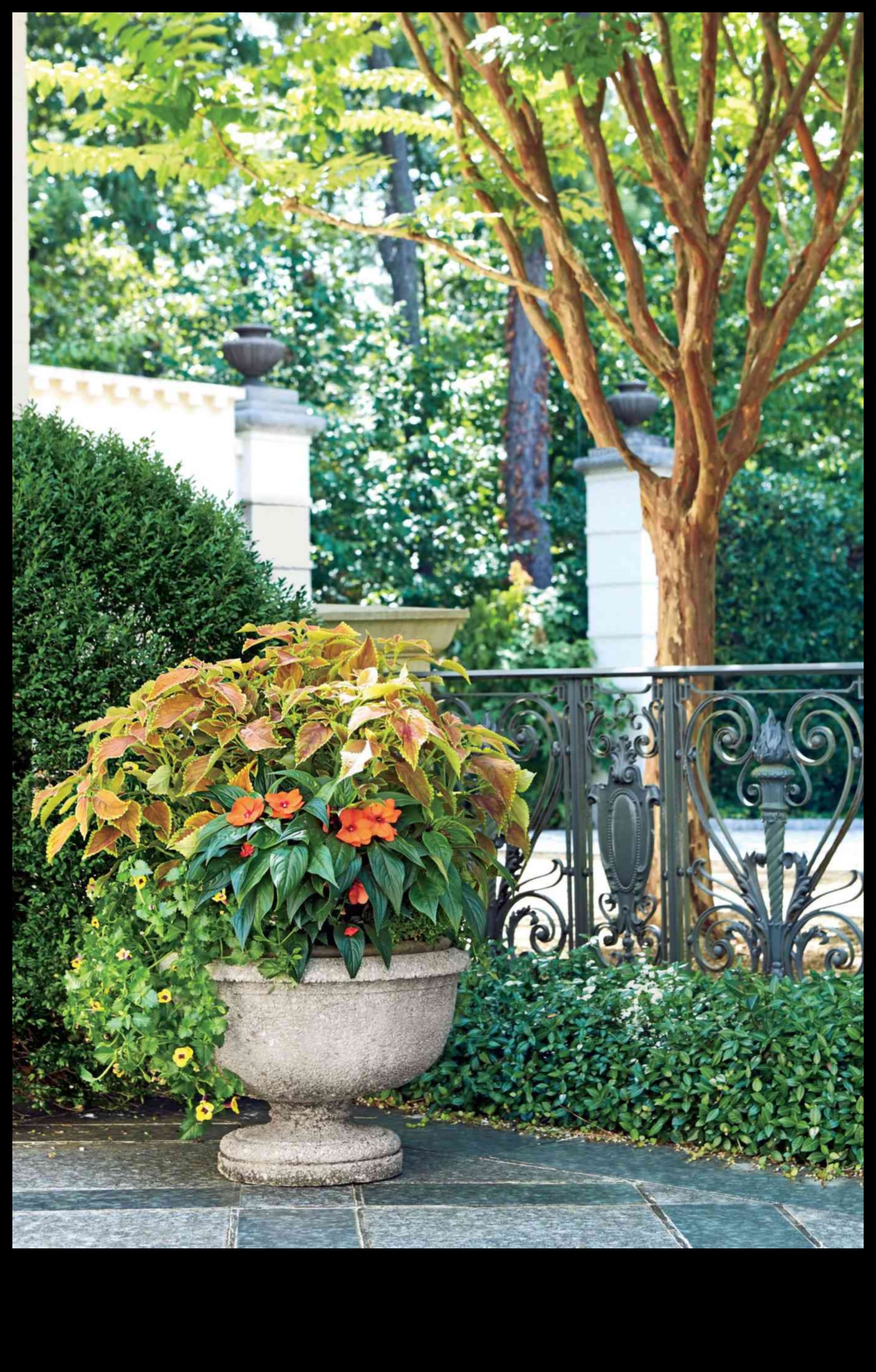 Garden Magic: Unlocking the Secrets of Container Greenery