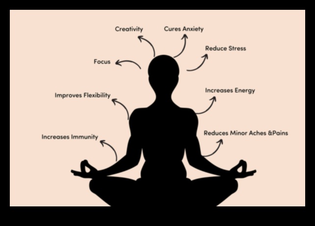 Wellness Unleashed: The Daily Power of Meditation on Physical Health